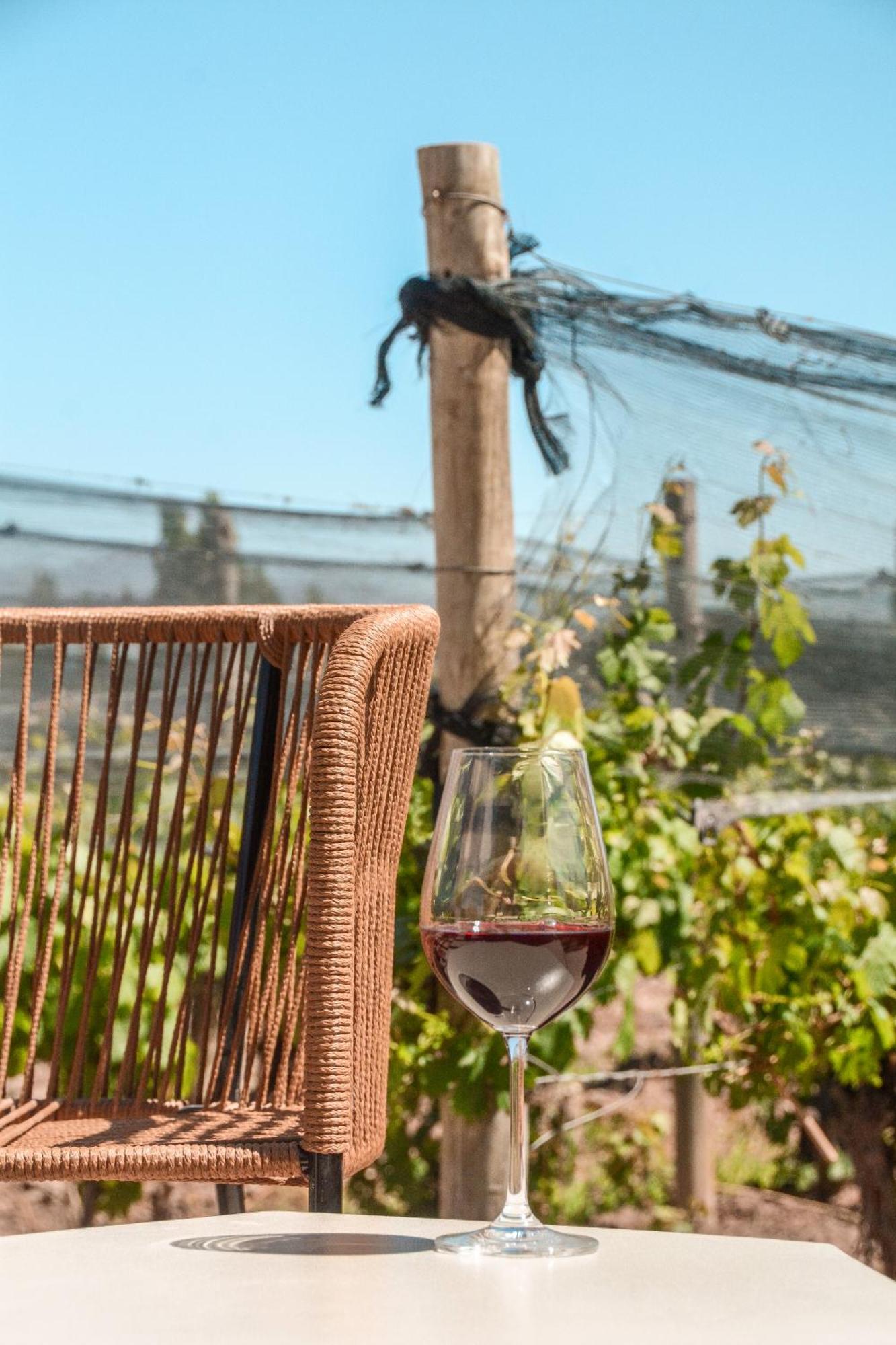 Agrelo Vines Lodge المظهر الخارجي الصورة