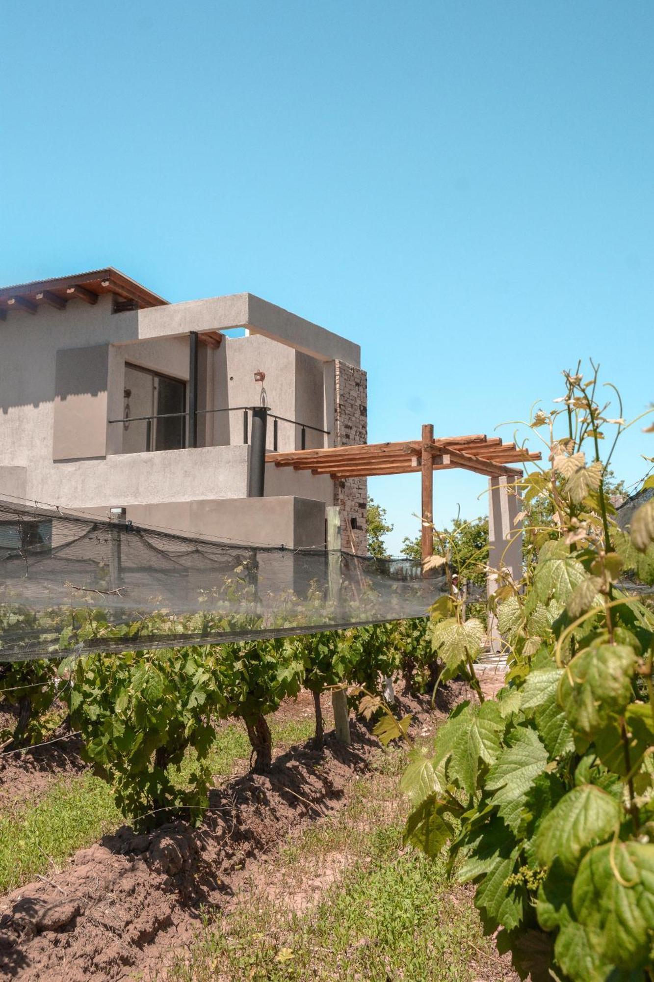 Agrelo Vines Lodge المظهر الخارجي الصورة