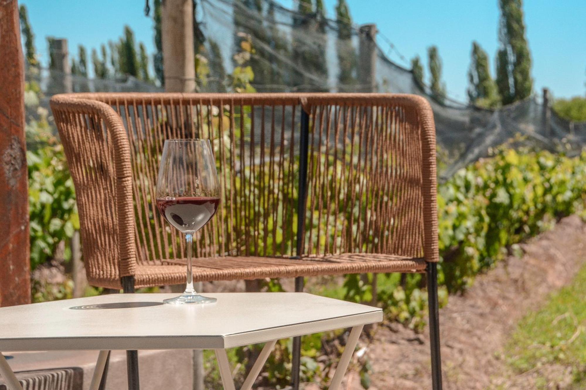 Agrelo Vines Lodge المظهر الخارجي الصورة