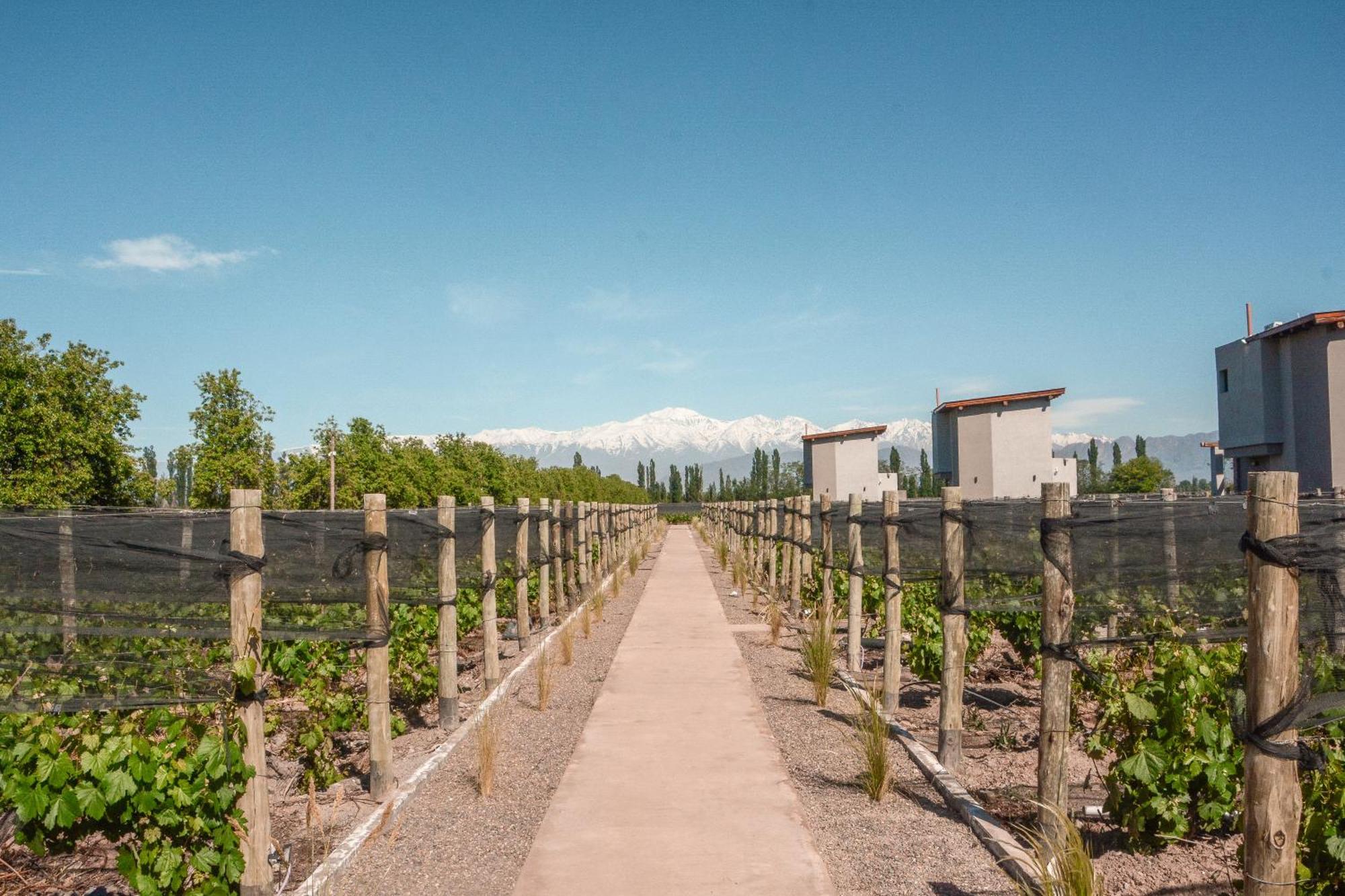 Agrelo Vines Lodge المظهر الخارجي الصورة
