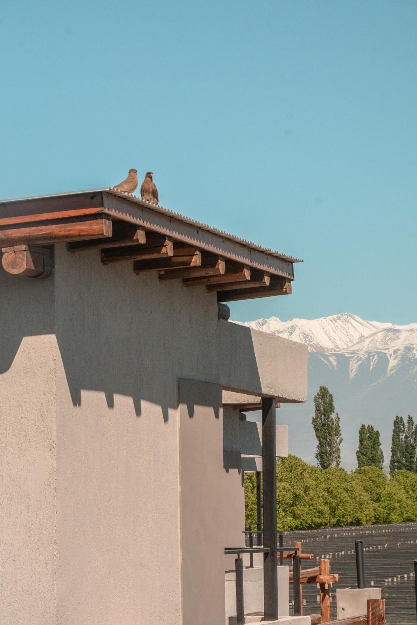 Agrelo Vines Lodge المظهر الخارجي الصورة
