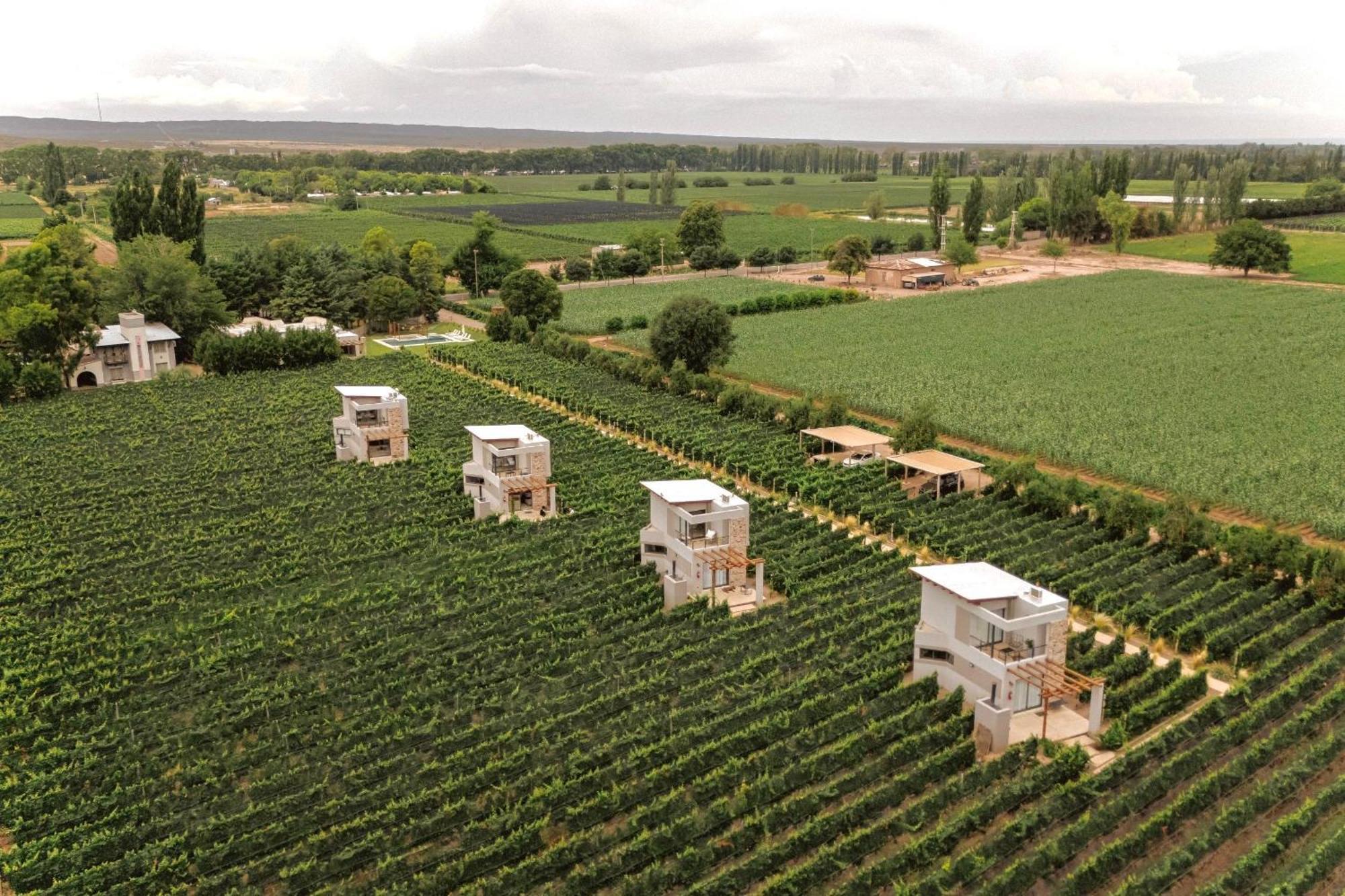 Agrelo Vines Lodge المظهر الخارجي الصورة